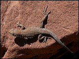 p1020533