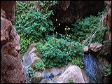 p1020768