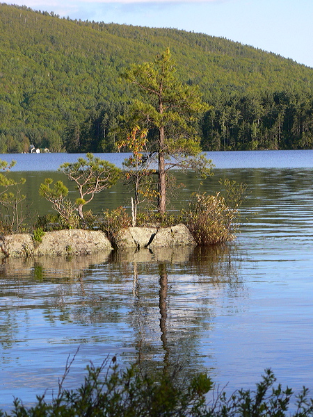 p1000352.jpg